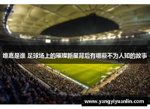 维嘉是谁 足球场上的璀璨新星背后有哪些不为人知的故事