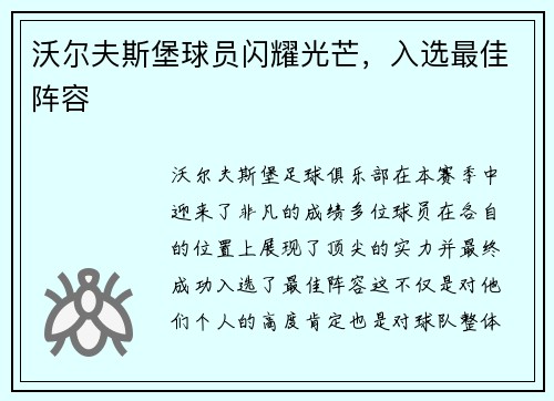 沃尔夫斯堡球员闪耀光芒，入选最佳阵容